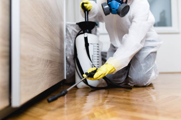 Best Pest Inspection Near Me  in Flora, AL