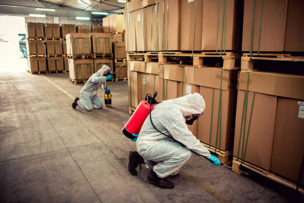 Best Pest Removal Services  in Flora, AL