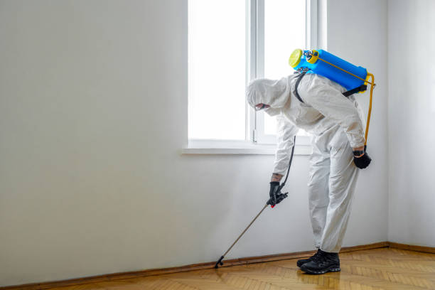 Professional Pest Control in Florala, AL