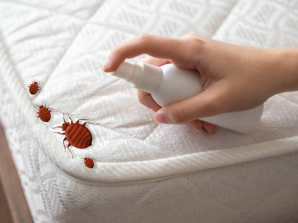Best Wasp Removal Services  in Flora, AL