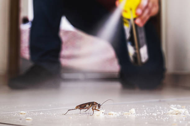 Best Affordable Pest Control Services  in Flora, AL