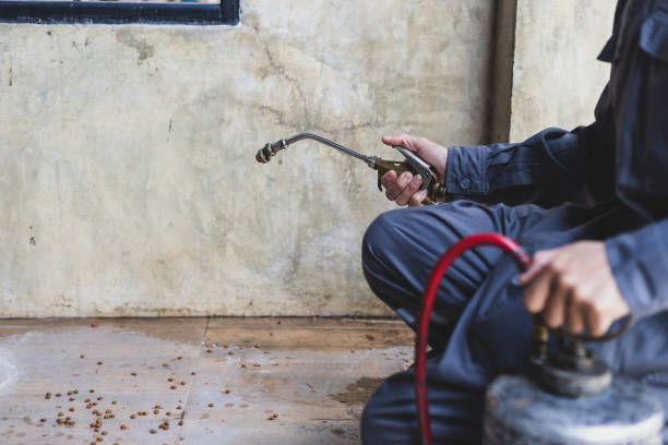Best Cockroach Control Services  in Flora, AL